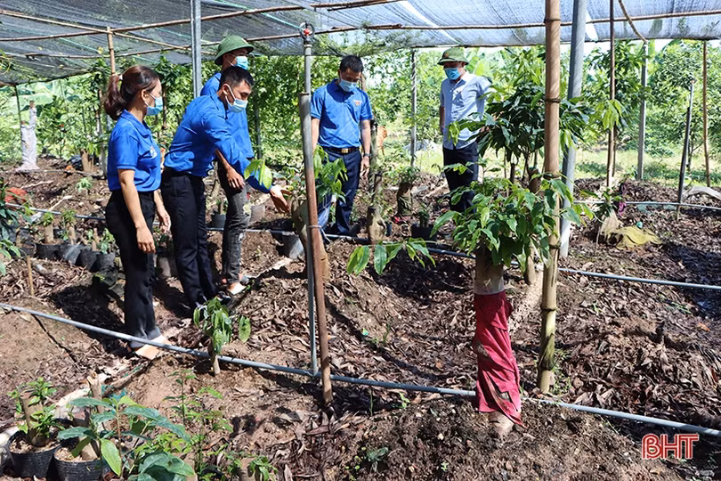 Huyện đoàn Cẩm Xuyên ra mắt mô hình kinh tế và giải ngân nguồn vốn quỹ quốc gia về việc làm