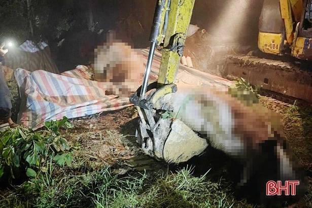 Dịch tả lợn châu Phi tái xuất hiện, Nghi Xuân gấp rút phòng chống