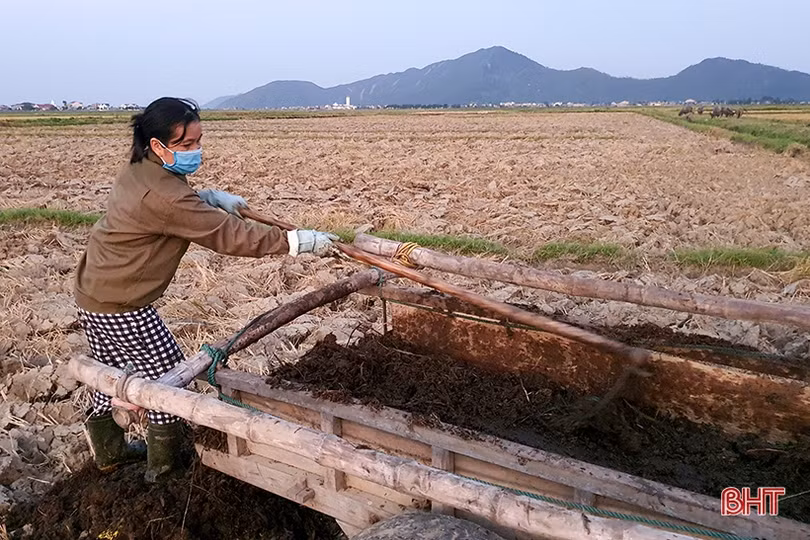 Nông dân Kỳ Anh khẩn trương làm đất, phấn đấu hoàn thành xuống giống hè thu trước ngày 10/6