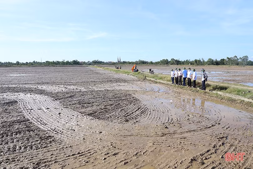 Tiếp đà thắng lợi vụ lúa xuân, chủ động sản xuất tốt vụ hè thu ở Hà Tĩnh