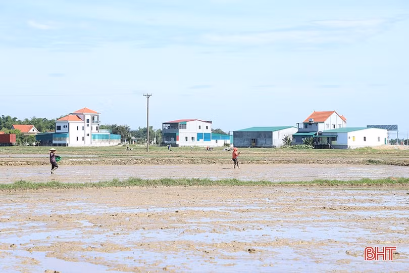 Tiếp đà thắng lợi vụ lúa xuân, chủ động sản xuất tốt vụ hè thu ở Hà Tĩnh