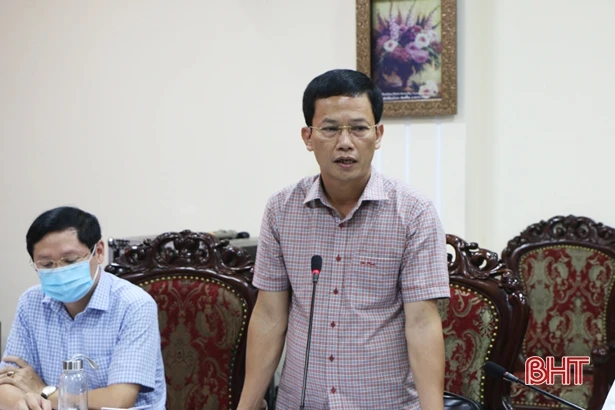 Thành phố Hà Tĩnh bàn phương án xây dựng hệ thống cây xanh đô thị