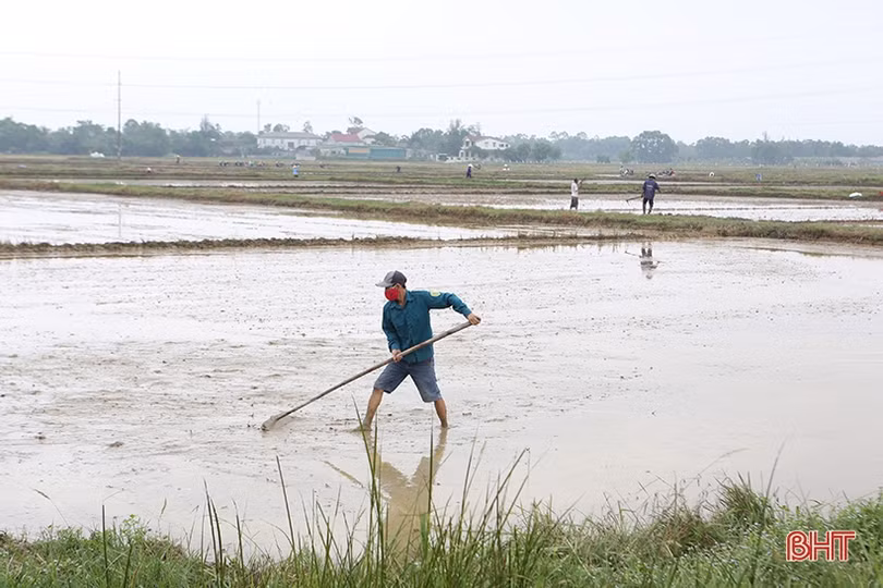 Nông dân Hà Tĩnh phấn khởi xuống giống vụ hè thu