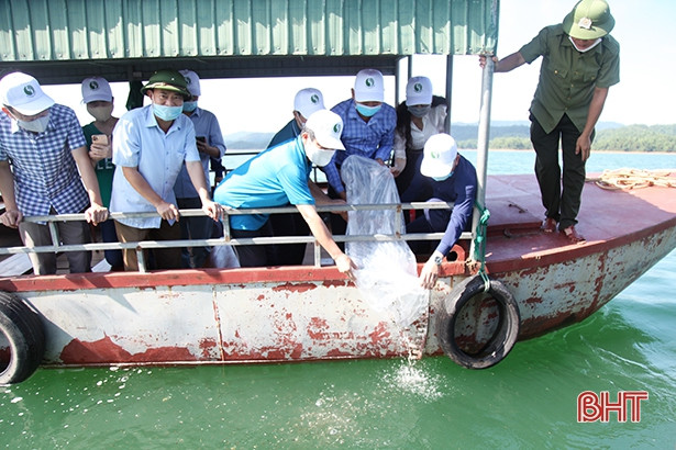 Thả 2 vạn con cá giống tái tạo nguồn lợi thủy sản ở hồ Kẻ Gỗ