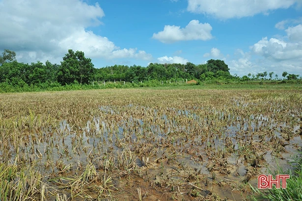 Huyện miền núi Hà Tĩnh đảm bảo nguồn nước vụ hè thu