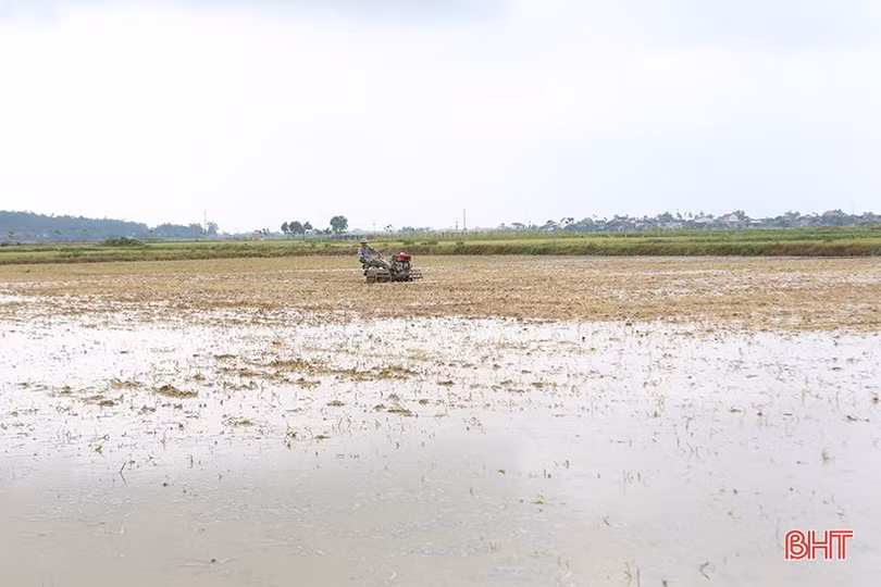 Nông dân Hà Tĩnh phấn khởi xuống giống vụ hè thu