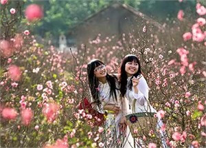 Minh họa từ internet