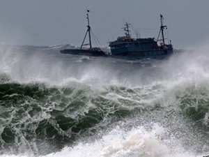 Minh họa từ internet