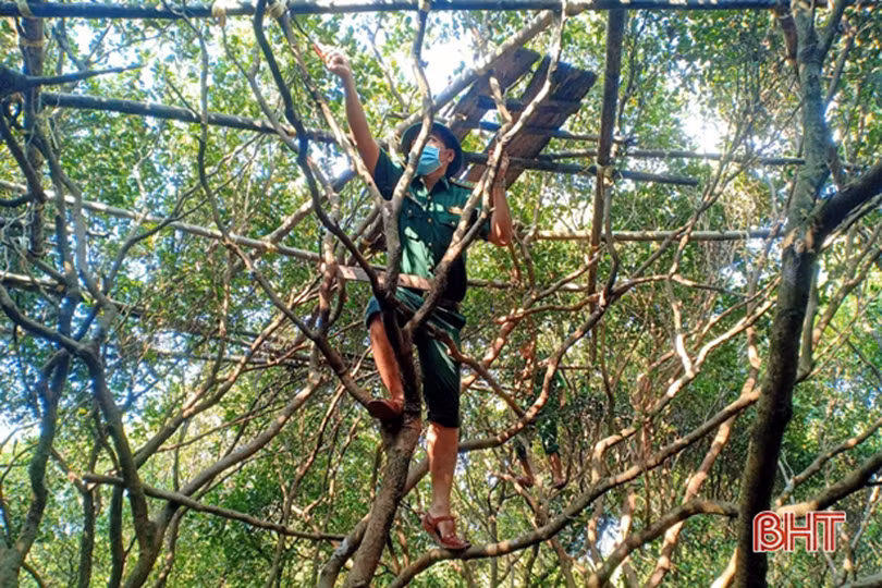 Bảo vệ động vật hoang dã từ ý thức, trách nhiệm của người dân