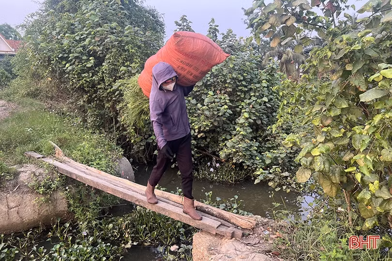 Sớm nâng cấp cụm công trình cống, tràn và đường dân sinh Thượng Trụ