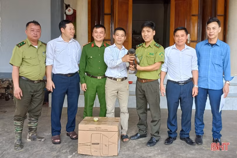 Bảo vệ động vật hoang dã từ ý thức, trách nhiệm của người dân