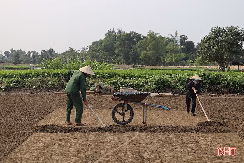 Nông dân Hà Tĩnh thích ứng với nắng nóng