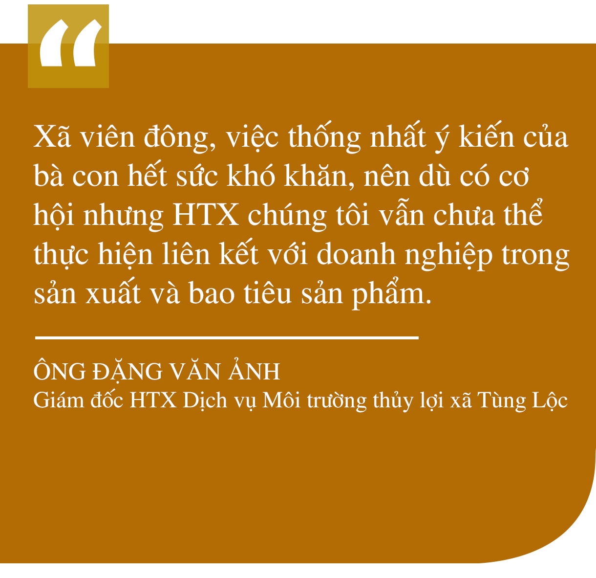 Từ dồn điền đổi thửa đến tích tụ ruộng đất - “cuộc cách mạng” trên quê lúa Can Lộc (bài 1): Đột phá trên đồng ruộng - hình thành vùng sản xuất quy mô lớn