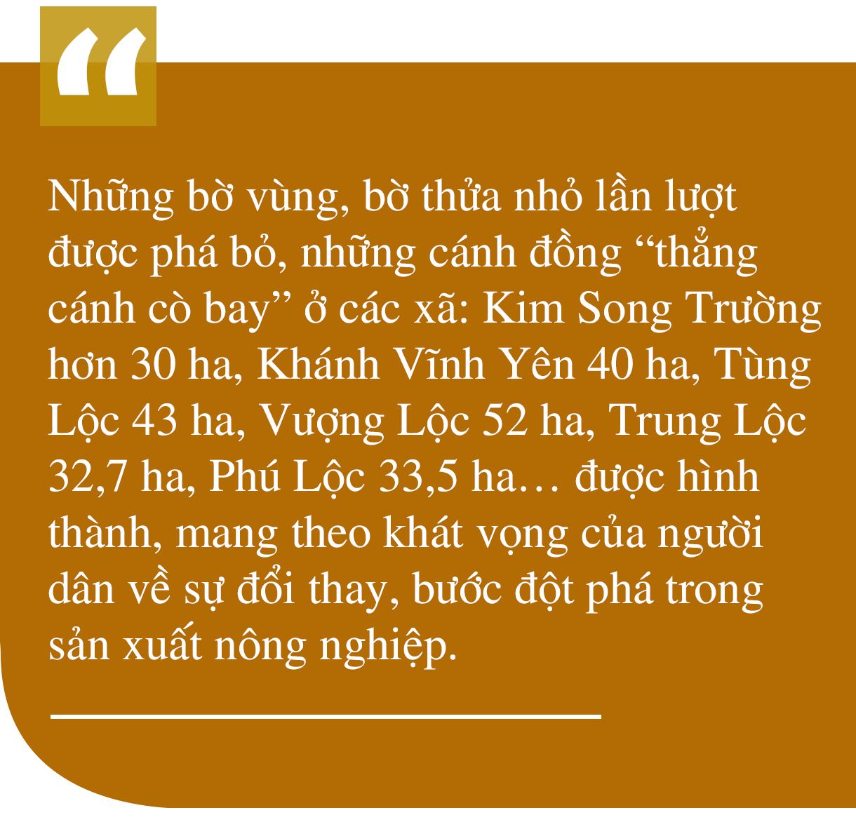 Từ dồn điền đổi thửa đến tích tụ ruộng đất - “cuộc cách mạng” trên quê lúa Can Lộc (bài 1): Đột phá trên đồng ruộng - hình thành vùng sản xuất quy mô lớn