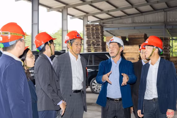 Từ thương trường đến nghị trường - kỳ vọng doanh nhân góp phần xây dựng chính sách sát thực tiễn