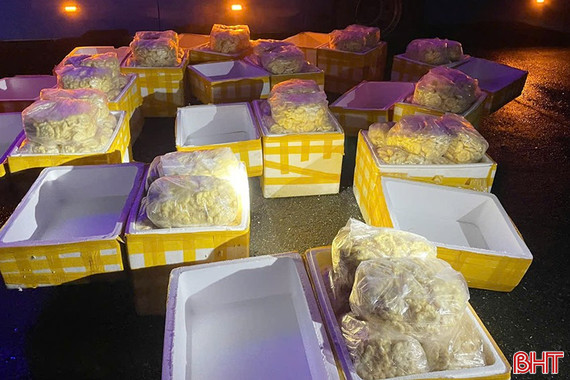 Thu giữ 240kg chả mực không rõ nguồn gốc lưu thông qua Hà Tĩnh