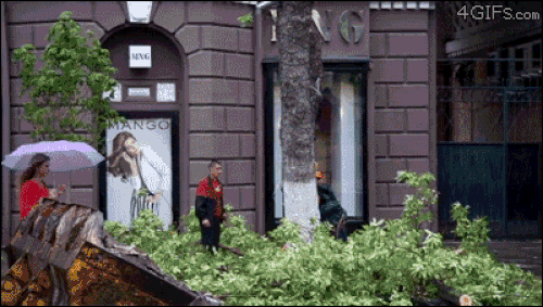 Những tình huống thoát nạn khó tin khi “thần chết ngủ quên”