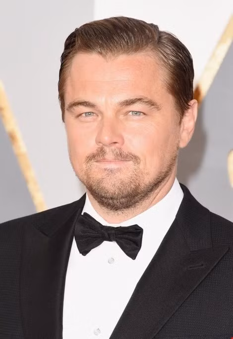 Leonardo DiCaprio lần đầu tiên chạm tượng vàng Oscar ảnh 1