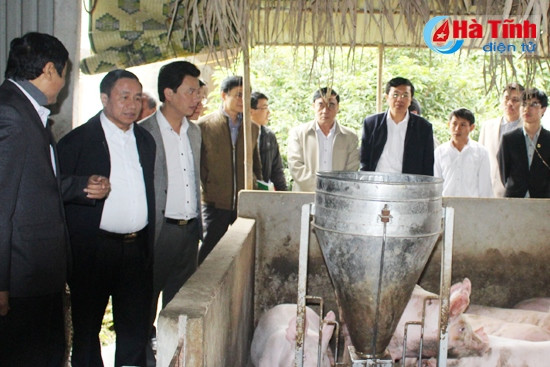 Đoàn công tác tham quan mô hình chăn nuôi liên kết quy mô nông hộ với doanh nghiệp của anh Võ Thái Sơn ở thôn 3, xã Sơn Thọ...