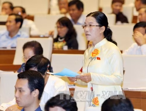 Đại biểu Quốc hội tỉnh An Giang Lê Dân Khiết phát biểu ý kiến. Ảnh: Phạm Kiên – TTXVN