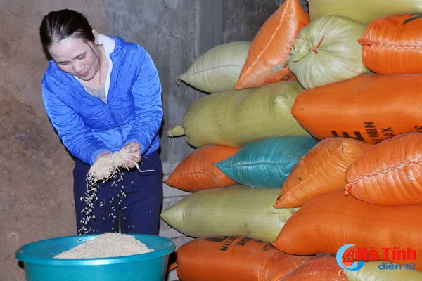 lam gi de xay dung thuong hieu gao ha tinh