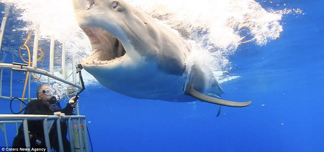 thot tim nhin canh tho lan doi dau voi ca map trang