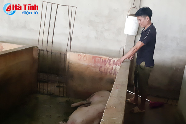 nghi co o dich o co so giet mo gia suc nguoi dan de nghi lam ro