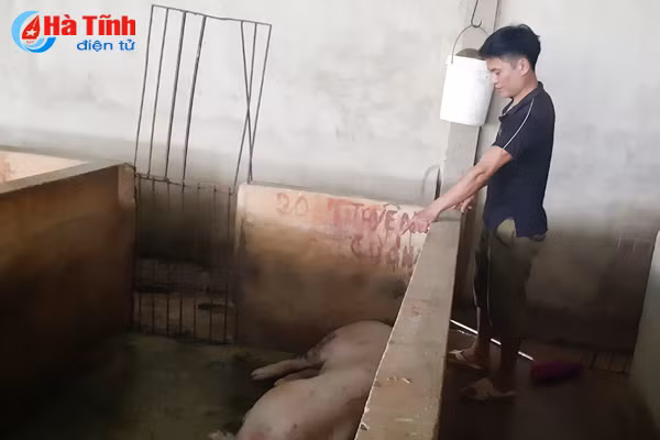 nghi co o dich o co so giet mo gia suc nguoi dan de nghi lam ro