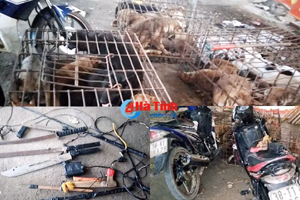 xu nhom cau tac mua xe khong giay sung ban dien di trom cho