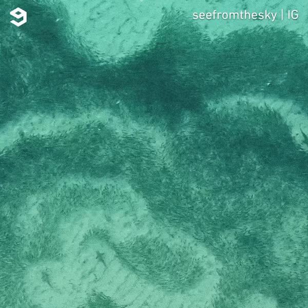 khoi dong tuan moi voi loat anh dong sieu hai huoc