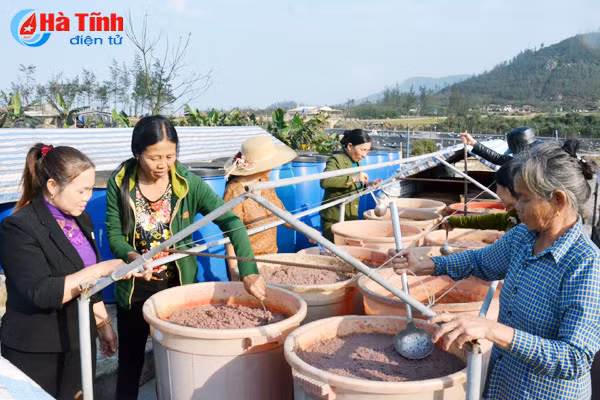 chuyen chua ke ve nu giam doc htx duoc bo nn ptnt vinh danh