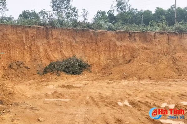 xe thit dat trong cay lam nghiep ve dap nen vuon nha truong cong an xa