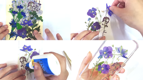 Sáng tạo ốp lưng mới với ốp trong suốt và hoa đã ép khô. bien smartphone cu thanh moi voi vai chuc nghin dong