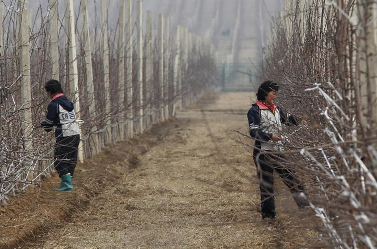 bat ngo cuoc song o dat nuoc trieu tien qua anh reuters