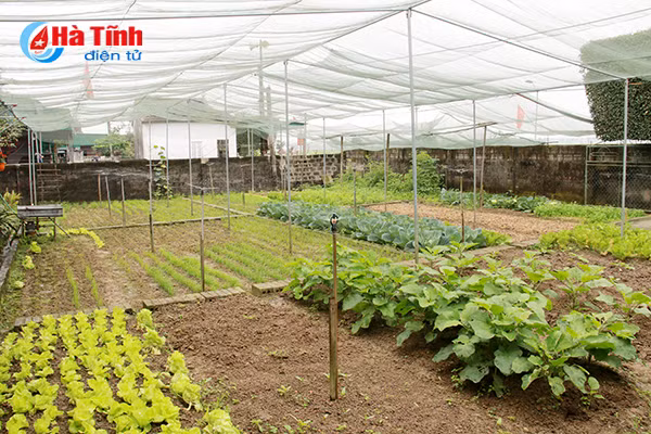 doc dao khu dan cu ntm kieu mau tren que huong tong bi thu tran phu