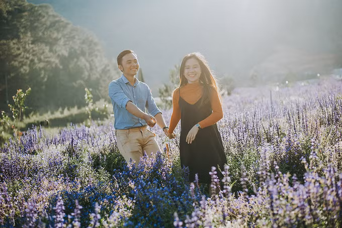 canh dong hoa nhu troi au o da lat