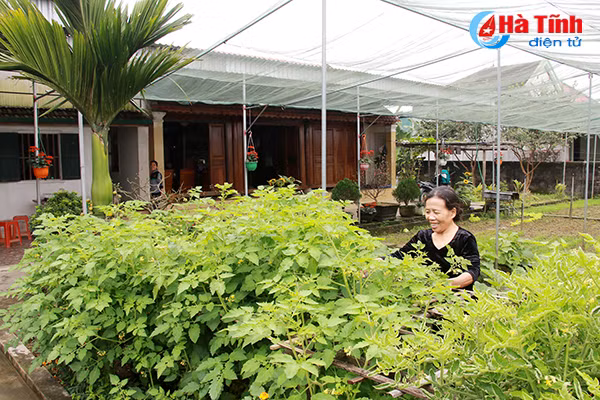 doc dao khu dan cu ntm kieu mau tren que huong tong bi thu tran phu