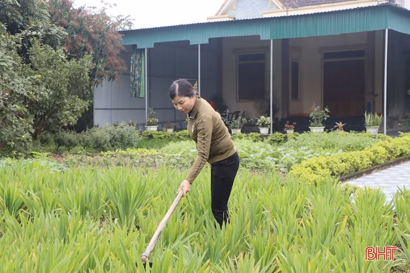 Chủ tịch hội phụ nữ xã ven đô Hà Tĩnh “mê làm đẹp môi trường