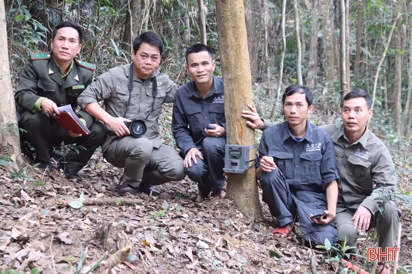 “Trợ thủ” phát hiện voi và nhiều động vật quý hiếm tại Vườn Quốc gia Vũ Quang