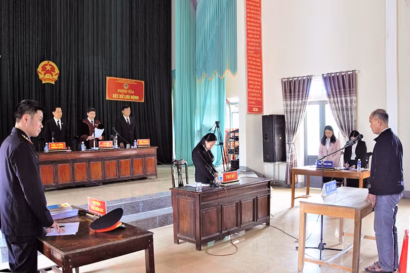 Lĩnh 4 năm tù, bồi thường hơn 1,2 tỷ đồng vì hủy hoại rừng ở Hương Khê