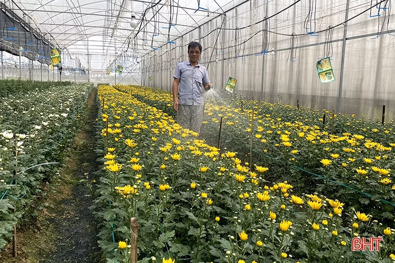 TP Hà Tĩnh tiêu chuẩn hóa sản phẩm nông nghiệp