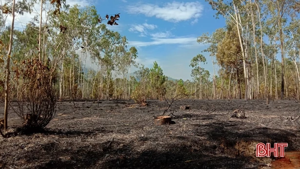 Liên tiếp cháy rừng ở các địa phương Hà Tĩnh