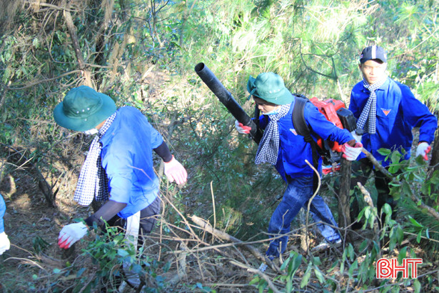 Liên quan đến vụ cháy rừng ở Nghi Xuân: Cơ quan điều tra tạm giữ một người đàn ông để làm rõ