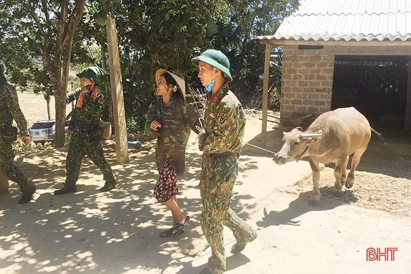 Trưởng ban Tổ chức Trung ương trực tiếp chỉ đạo chống cháy rừng ở Hương Sơn