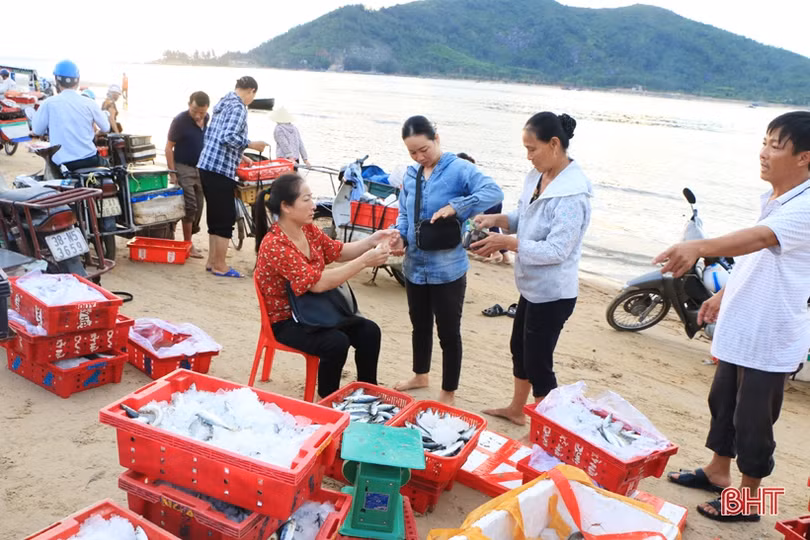 3 năm sau sự cố môi trường biển (bài 3): Ngư dân Hà Tĩnh vươn khơi trên tàu lớn, hải sản về đầy khoang