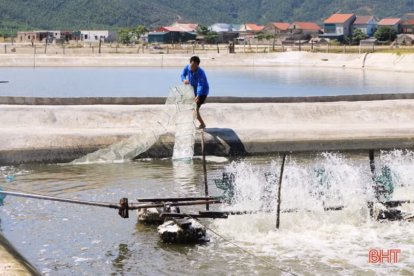 3 năm sau sự cố môi trường biển (bài 3): Ngư dân Hà Tĩnh vươn khơi trên tàu lớn, hải sản về đầy khoang