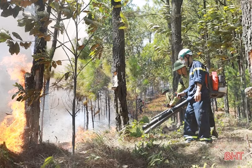 Hơn 1.300 cán bộ, chiến sỹ LLVT Hà Tĩnh dầm mình trong biển lửa