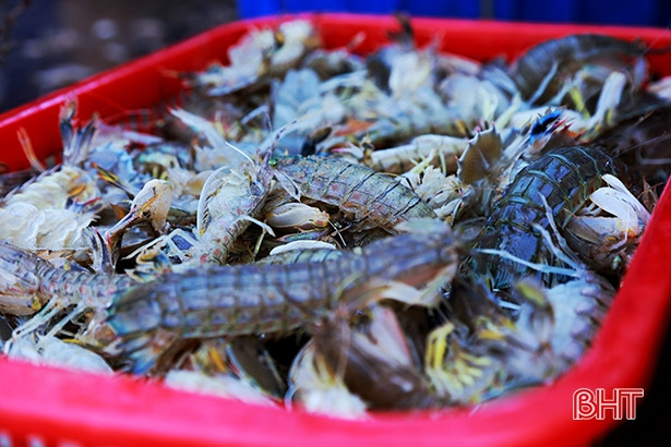 Đón bình minh sớm trên cảng Cửa Sót