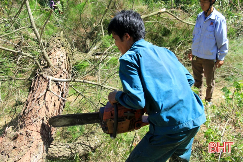 Lần thứ 3 đám cháy bùng phát, 500 người đổ về rừng Xuân Hồng dập lửa