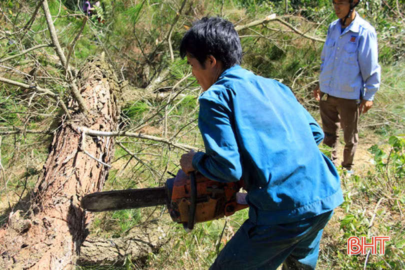 Lần thứ 3 đám cháy bùng phát, 500 người đổ về rừng Xuân Hồng dập lửa